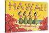 Hawaii-Kerne Erickson-Stretched Canvas