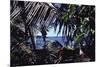 Hawaii-James P. Mcvey-Mounted Art Print