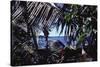 Hawaii-James P. Mcvey-Stretched Canvas