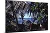 Hawaii-James P. Mcvey-Mounted Art Print