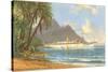 Hawaiian Beach with Cruise Ship-null-Stretched Canvas