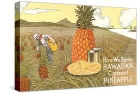 Hawaiian Canned Pineapple Ad-null-Stretched Canvas