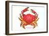 Hawaiian Crab-null-Framed Art Print