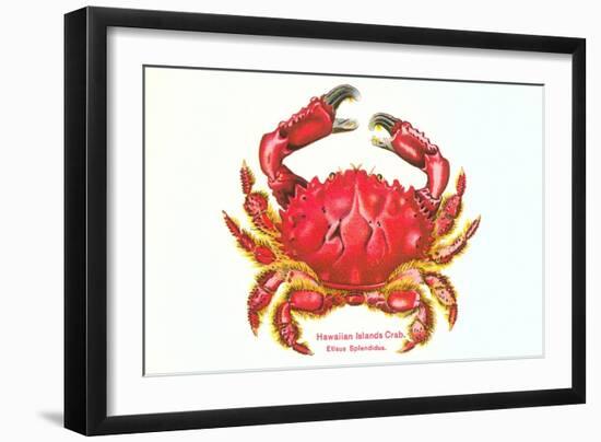 Hawaiian Crab-null-Framed Art Print