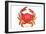 Hawaiian Crab-null-Framed Art Print