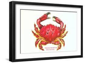 Hawaiian Crab-null-Framed Art Print