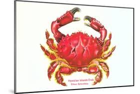 Hawaiian Crab-null-Mounted Art Print