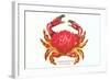 Hawaiian Crab-null-Framed Art Print