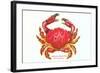 Hawaiian Crab-null-Framed Art Print