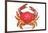 Hawaiian Crab-null-Framed Art Print
