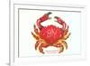 Hawaiian Crab-null-Framed Premium Giclee Print