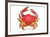 Hawaiian Crab-null-Framed Premium Giclee Print