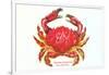 Hawaiian Crab-null-Framed Premium Giclee Print