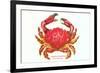 Hawaiian Crab-null-Framed Art Print