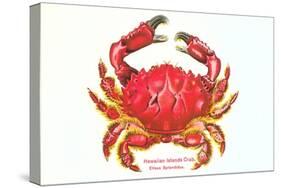 Hawaiian Crab-null-Stretched Canvas