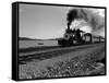 Hawaiian Essay, Train-William C^ Shrout-Framed Stretched Canvas