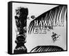 Hawaiian Eye-null-Framed Stretched Canvas