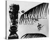 Hawaiian Eye-null-Stretched Canvas