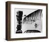 Hawaiian Eye-null-Framed Photo