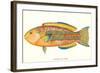 Hawaiian Fish, Awela-null-Framed Art Print