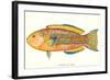 Hawaiian Fish, Awela-null-Framed Art Print