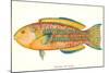 Hawaiian Fish, Awela-null-Mounted Art Print