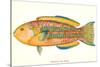 Hawaiian Fish, Awela-null-Stretched Canvas