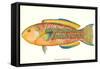 Hawaiian Fish, Awela-null-Framed Stretched Canvas