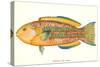 Hawaiian Fish, Awela-null-Stretched Canvas