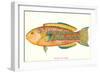 Hawaiian Fish, Awela-null-Framed Art Print