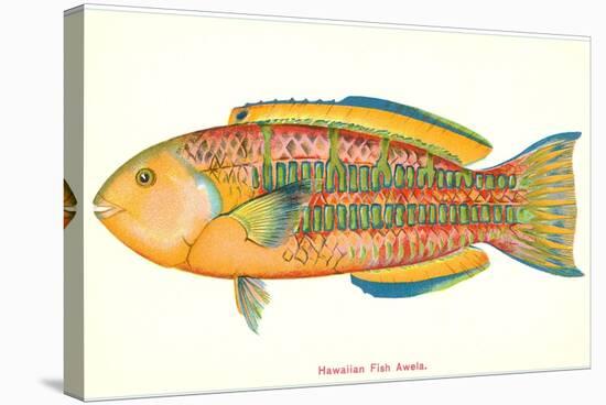 Hawaiian Fish, Awela-null-Stretched Canvas