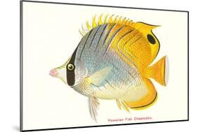 Hawaiian Fish, Chaetodon-null-Mounted Art Print