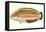 Hawaiian Fish, Julis Eydouxi-null-Framed Stretched Canvas