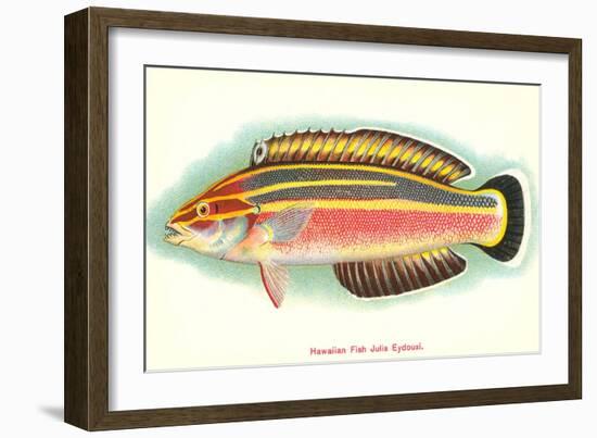 Hawaiian Fish, Julis Eydouxi-null-Framed Art Print