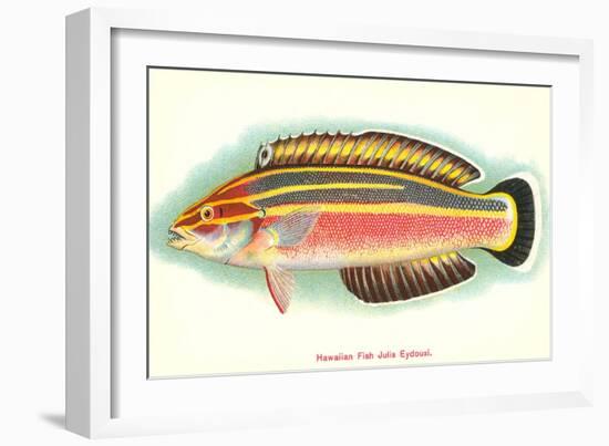 Hawaiian Fish, Julis Eydouxi-null-Framed Art Print