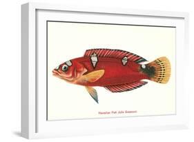 Hawaiian Fish Julis Greenovii-null-Framed Art Print