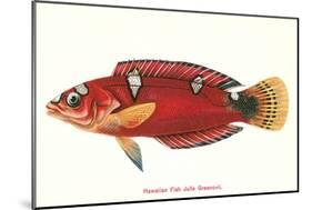 Hawaiian Fish Julis Greenovii-null-Mounted Art Print