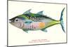 Hawaiian Fish, Kawakawa-null-Mounted Art Print