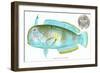 Hawaiian Fish, Lae-Nihi-null-Framed Art Print