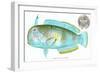 Hawaiian Fish, Lae-Nihi-null-Framed Art Print