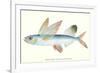 Hawaiian Fish, Malolo Puhiki'i-null-Framed Premium Giclee Print