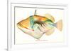 Hawaiian Fish, Nakunuku-null-Framed Premium Giclee Print