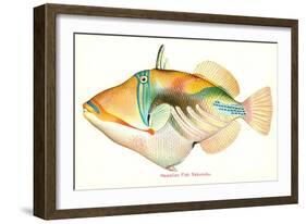 Hawaiian Fish, Nakunuku-null-Framed Art Print