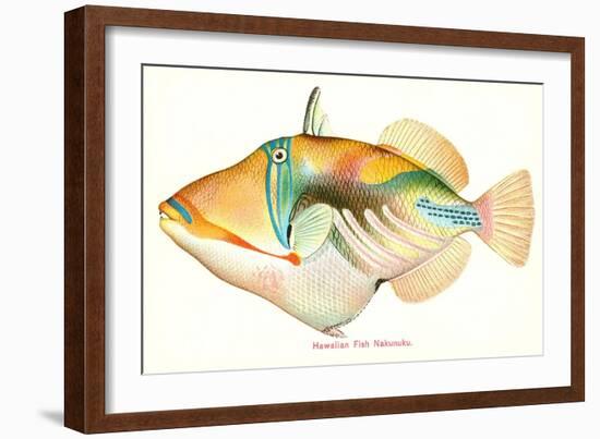 Hawaiian Fish, Nakunuku-null-Framed Art Print