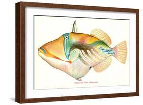 Hawaiian Fish, Nakunuku-null-Framed Art Print