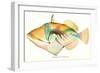 Hawaiian Fish, Nakunuku-null-Framed Art Print