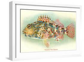 Hawaiian Fish, Oapukai-null-Framed Art Print