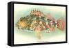 Hawaiian Fish, Oapukai-null-Framed Stretched Canvas