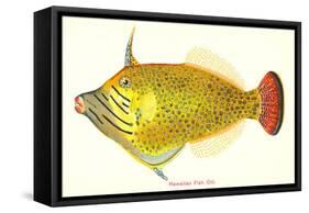 Hawaiian Fish, Oili-null-Framed Stretched Canvas