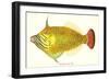 Hawaiian Fish, Oili-null-Framed Art Print